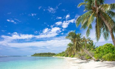 Beach with sand, blue water. Greenery and trees.