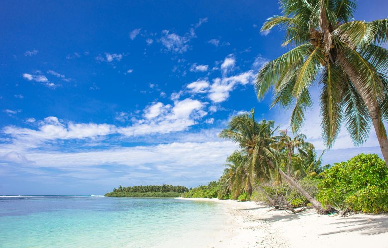 Beach with sand, blue water. Greenery and trees.