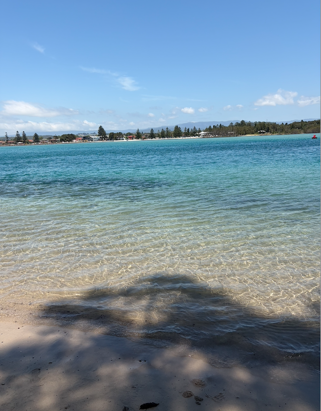 Calm lake surrounded by trees, with forest lining the far end of the water.